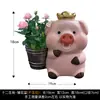 Adornos Lindos de Caricatura de los Doce Signos del Zodiaco, Decoraciones para Patio y Jardín, Macetas Creativas, Decoraciones de Exterior para Balcón