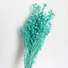 Flores Secas de Yunnan, Feijões de Acácia, Feijões da Fortuna, Feijões de Cânhamo, Flores Preservadas, Acessórios para Cobertura de Vidro, Decoração de Casa, Flores Secas com Nervuras