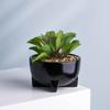 Macetas de Cerámica Personalizadas para Plantas Regalo Negro y Blanco Esmaltado Luz Escritorio de Oficina Plantación Verde