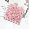 Accesorios Imitación Perla Maillard 10g Tamaño Mixto Bolas Redondas Plástico ABS Perlas Yiwu Transfronterizo No Poroso Color Mixto Accesorios