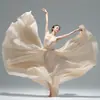 Saia Midi Rodada Dupla Camada 720 Graus Chiffon Dança Clássica Dança Étnica Saia de Dança Saia Longa Dança Prática de Quadrilha Dança de Xinjiang