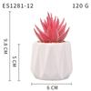 Planta Suculenta Simulada Macetas, Decoración de Muebles de Oficina Nórdicos, Nuevas Suculentas Bonsái Simuladas de Alta Calidad para el Hogar