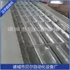 Máquina de Embalagem a Vácuo para Jerky de Boi - Máquina de Embalagem de Bife - Máquina de Embalagem a Vácuo para Carne Bovina - Máquina de Filme Esticável Bell de Shandong