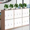 Armário de Funcionário Armário Armário para Bolsa de Estudante Armário de Dança Armário de Armazenamento para Bolsa de Sala de Aula Armário de Ferro para Sala de Estar Armário de Armazenamento Armário Baixo