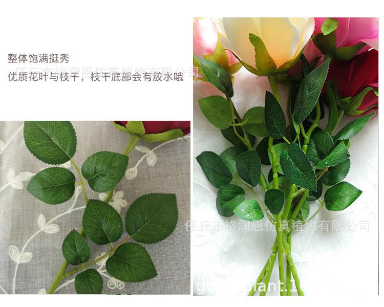 单支玫瑰花_05.jpg