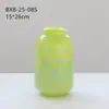 Vaso de Vidro Bolha Ins Vintage para Peônias, Arranjo de Flores Frescas, Flores Hidropônicas, Decoração de Casa, Decoração Suave de Estúdio