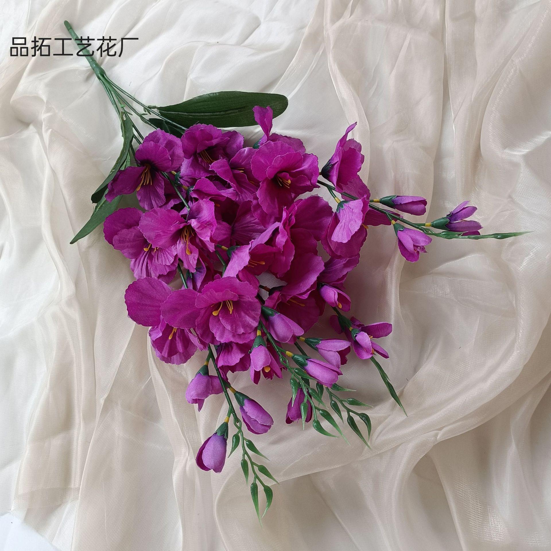 40ca565e3ab09a7c8319f5a03606a7