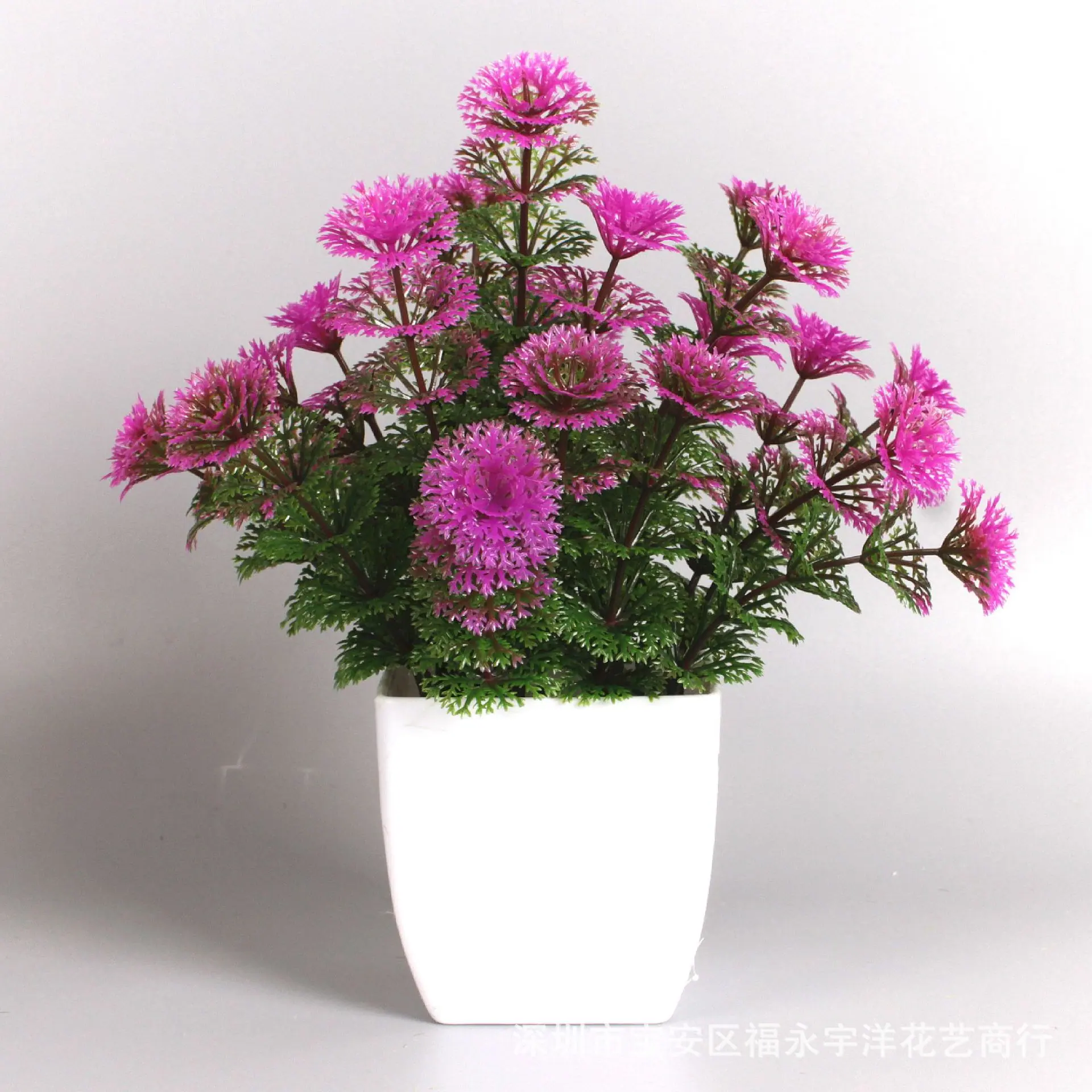 IMG_0826_副本.jpg