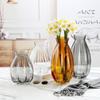 Cor original barriga grande boca pequena borda vertical vaso de vidro transparente sala de estar flores secas hidropônico hidropônico arranjo de flores ornamentos decorativos