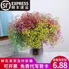 Yunnan Kunming Dounan Céu Estrelado flores secas naturais pesando Jin vendendo buquê grande de sala de estar fresca para decoração de casa frete grátis