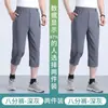 Pantalones Finos de Seda Helada de Verano para Hombre, Pantalones Casuales con Cintura Elástica, Shorts Holgados de Pierna Recta para Padres de Mediana Edad y Mayores