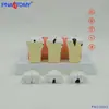 Modelo de Anatomia de Decomposição de Cárie Dentária Modelo de Cavidade Dentária Exibição de Ensino