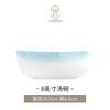 Vajilla de Aspecto Elevado Juego de Cuenco y Plato Jingdezhen Juego Fresco de Cuenco y Plato Chinoiserie Cuenco y Plato de Arroz Exquisito