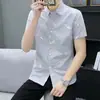 Camisa de Manga Corta de Verano para Hombre Estilo Coreano Ajustada Moderna Guapo Moda Camisa Rayada Casual de Negocios Camisa de Manga Media