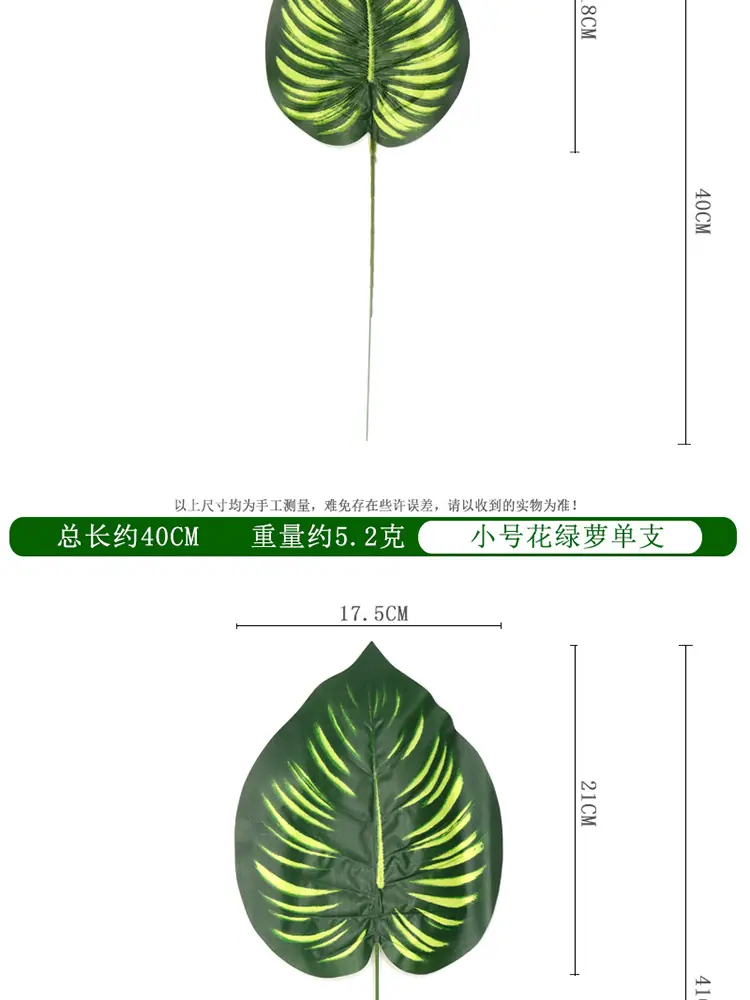 花绿萝叶单支_04.jpg
