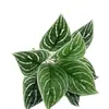 Venta Directa de Fábrica de Plantas Verdes Artificiales, Planta de Filodendro Hoja de Tortuga de 9 Cabezas, Materiales para Paredes de Fondo, Arreglo Floral, Decoración de Interiores y Exteriores
