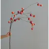 Fruta lanterna artificial grande e flores artificiais em um novo estilo Zen Chinês, ornamentos decorativos com galhos secos para arranjos florais de sala de estar e decoração de casa