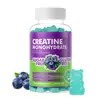 Gomitas de Monohidrato de Creatina, Sabor Arándano Veganas-60 Piezas