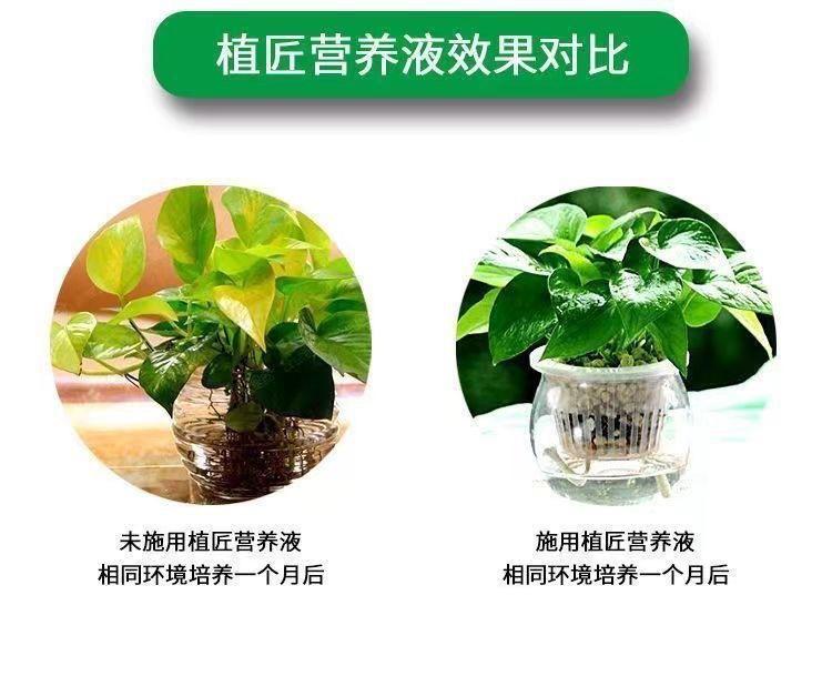 微信图片_20241226165306.jpg