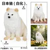 Simulación Mini Gato Perro Modelo de Animal Pequeño Juguete Corgi Perro Chai Pelo Dorado Marioneta Gato Gato sin Pelo Husky Mascota Linda