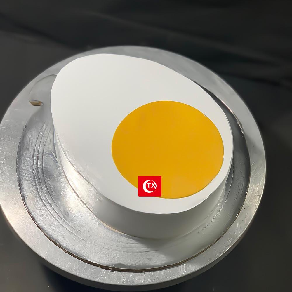 egg shape disc (1).jpg