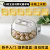 Máquina Incubadora y Cría para Huevos de Codorniz Pequeña Tipo Hogareño Caja Incubadora Totalmente Automática