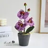 Orquídea Phalaenopsis Artificial con Tres Flores y Dos Frutos, Planta Pequeña en Maceta para Sala de Estar, Mueble de TV, Decoración de Interiores del Hogar