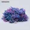 Flores de Hortensia Secas con Degradado Grande Hortensias Conservadas Cabezas de Flores Grandes Color Mixto Multicolor Hortensias Secas Decoración del Hogar Materiales Florales