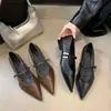 Zapatos de mujer de tacón bajo grueso con punta fina estilo francés, nuevos de la primavera 2026, de una sola tira, zapatos pequeños de cuero, de boca poco profunda, zapatos Mary Jane