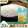 Arroz Fragrante de Grão Longo da Temporada 2023, Arroz Novo, Arroz Marfim, Arroz Fragrante de Jasmim, Arroz Pegajoso Dente de Gato