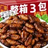 Pupas de Gusano de Seda a Bajo Precio Pupas de Gusano de Seda Crujientes y Fragantes Listas para Comer, una Especialidad de Shandong, Perfectas como Snack con Alcohol, Pupas de Gusano de Seda Frescas Fritas, Alimento Cocido, Productos Secos