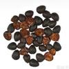 1000 Gramos de Lombrices de Tierra Huamei Medicina China Medicina Herbal China Suministro al por Mayor por Lotes Seleccionar Lombrices de Tierra Trato Preferencial para Grandes Cantidades