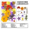 Flor Seca Material para DIY Marcapáginas en Relieve Panel Pintura Gipsofila Gipsofila Rosa Hojas Reales Espécimen Vegetal Pegamento de Goteo Marco de Fotos