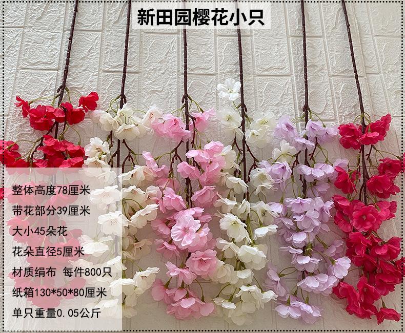 产品信息图-新田园樱花小只.jpg