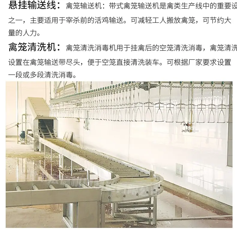 屠宰流水线设备