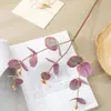 Hojas de Eucalipto, Hojas de Dinero, Hojas de Eucalipto, Plantas Verdes Simuladas, Decoración del Hogar 3D, Arreglos Florales, Decoración Floral, Plantas Falsas