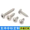 Parafusos Autoatarraxantes de Cabeça Cruzada de Ferro Niquelado M2.3~M4 Padrão de Guangdong Ba Rosca Grossa Autoatarraxante Pequena Fenda Cruzada