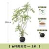 Haihong Mismo Estilo Interior Grande de Alta Gama Lujo Ligero Adornos de Decoración de Planta Pseudo Bambú Nantian Simulación Planta Verde Junto al Sofá