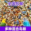 Comedero para pájaros de exterior, Comedero semiautomático para balcones de exterior, Comedero para pájaros colgante para jardines, Bebedero para pájaros silvestres