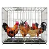 Jaula para Pollos Doméstica Grande Extra Grande Jaula para Ponedoras Jaula para Pollos Jaula de Cría Doméstica Gallinero con Limpieza Automática de Estiércol Jaula Plegable Jaula para Perros