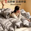 Nueva colcha nube, colcha de invierno, colcha individual, colcha de primavera y otoño, colcha de algodón para dormitorio estudiantil, engrosada y cálida, adecuada para todas las estaciones