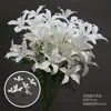 Materiales Florales Blancos para Bodas, Flores de Seda, Decoraciones de Techo para Salones de Bodas, Flores Artificiales, Flores para Arcos, Arreglos Florales, Arte Floral