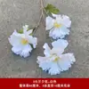 Decoração de Casamento com Flores Brancas, Peônias, Phalaenopsis, Rosas, Arranjos Florais de Teto e Arranjos Florais Pretos para o Salão de Casamento