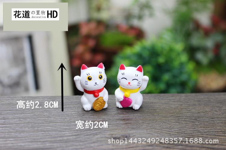 3454525998_副本.jpg