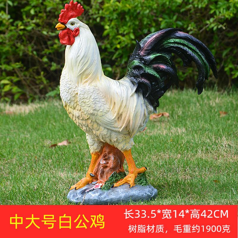 中大号白公鸡