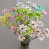 Sementes de Melão com Flores Secas de Yunnan, Flores Frescas Feitas à Mão, Flores Reais para Decoração de Casa, Adereços de Fotografia, Atacado