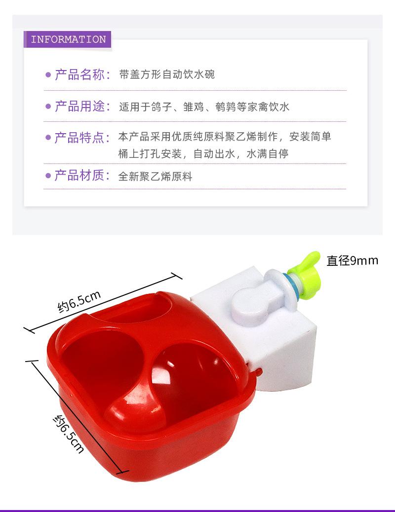 详情页_03.jpg