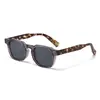 2025 Popular Transfronterizo Ácido Propiónico Pierna Polarizado Gafas Simples Moda Exportación Producto Caliente Patilla Cp Gafas de Sol Gafas de Sol