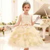 Vestido de novia infantil de Amazon, vestido grande para niña, vestido de princesa rosa para niña de las flores, disponible en stock.