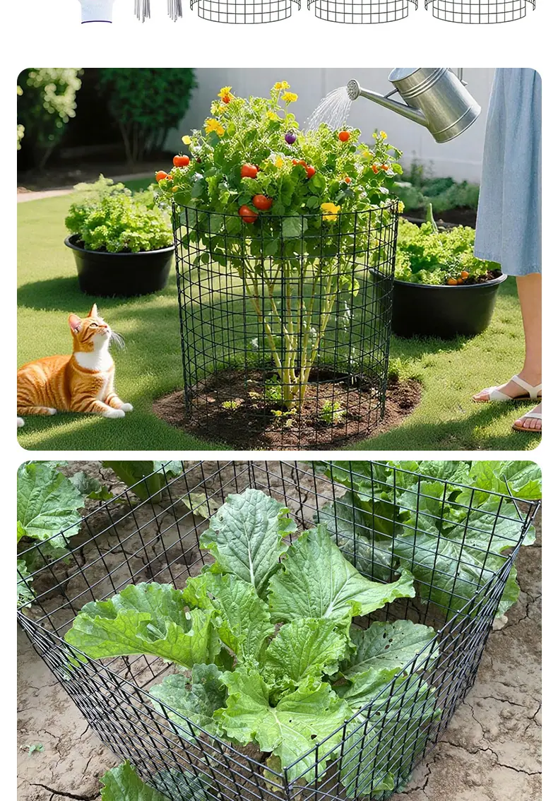 植物保护网片2_08.jpg